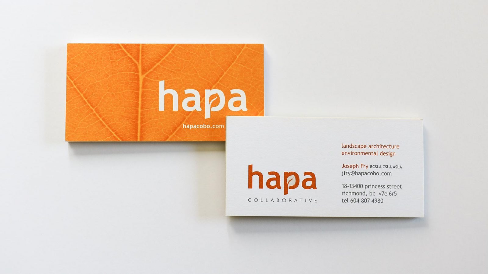 HAPA Identity Sarah Taniwa