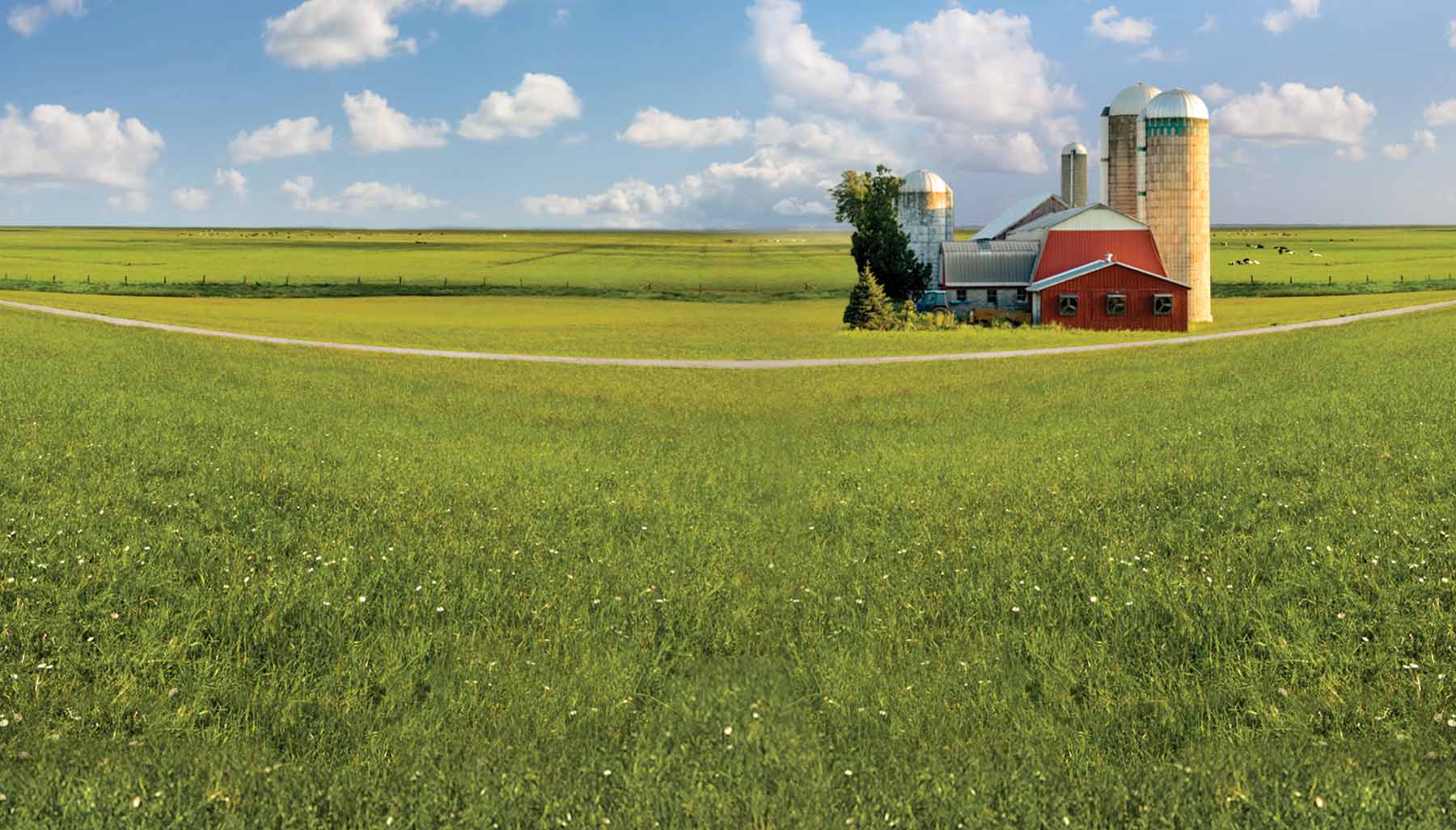 Farm building on green field