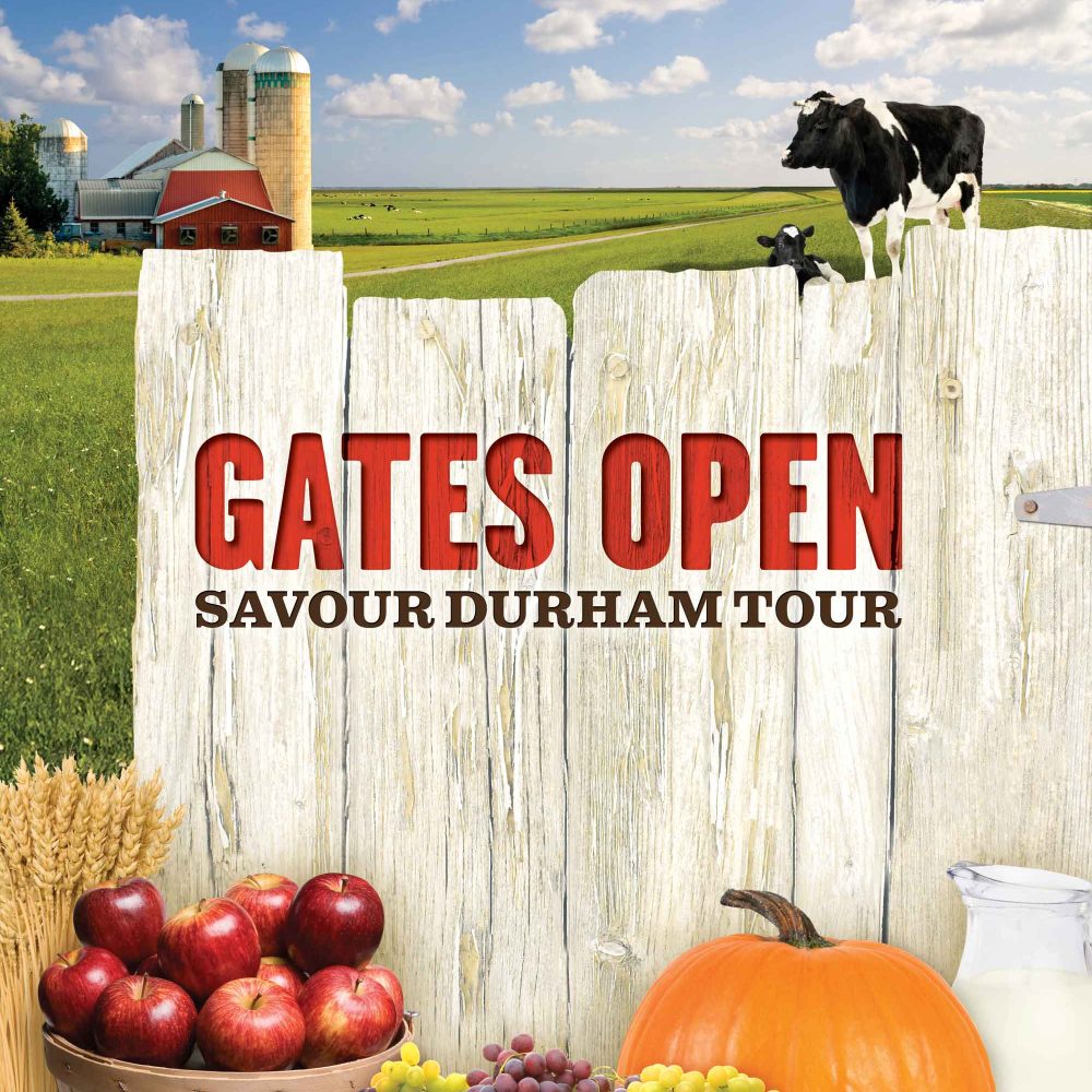 Gate opening up on farm
