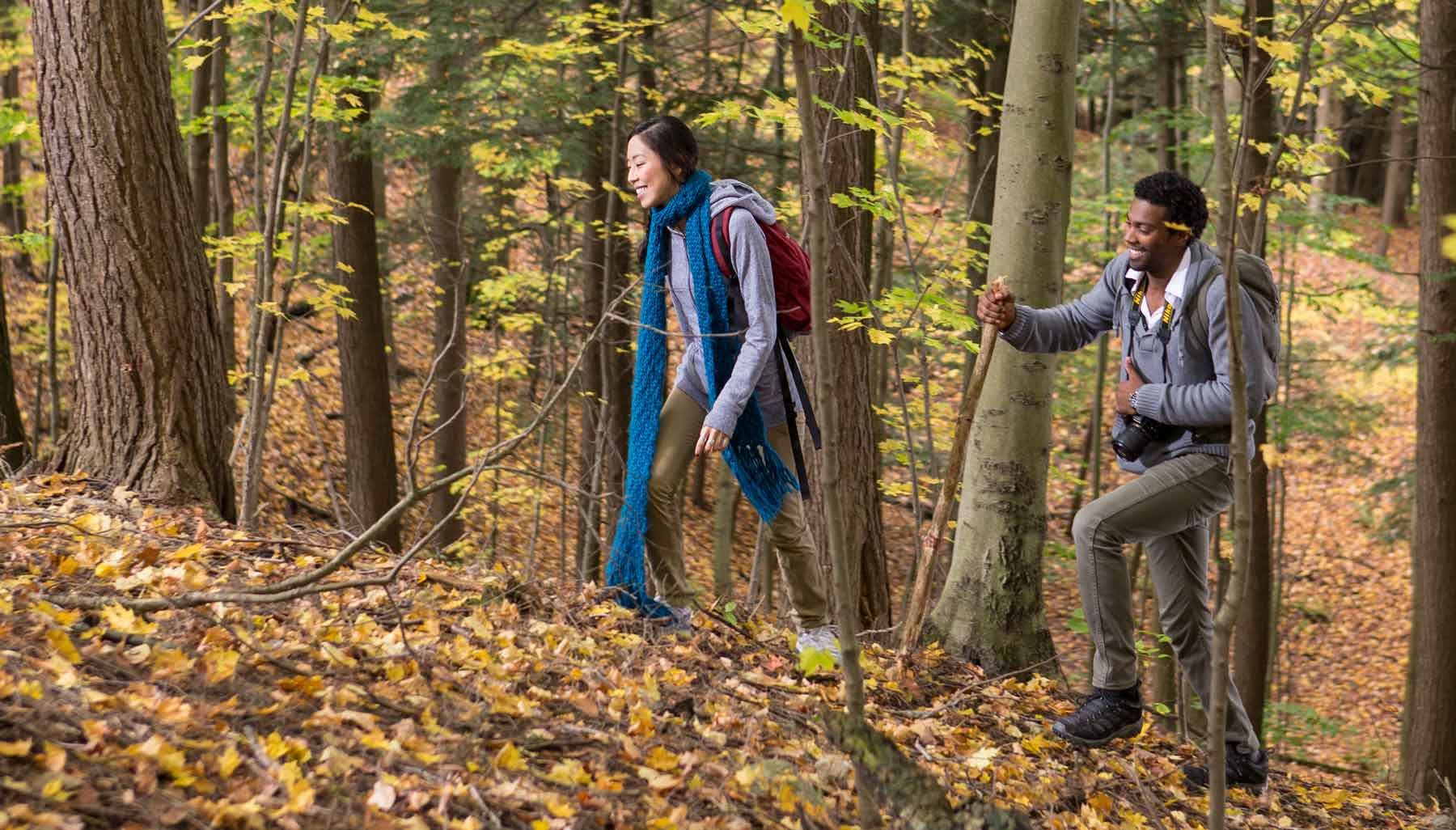 People walking on a Durham Region trail