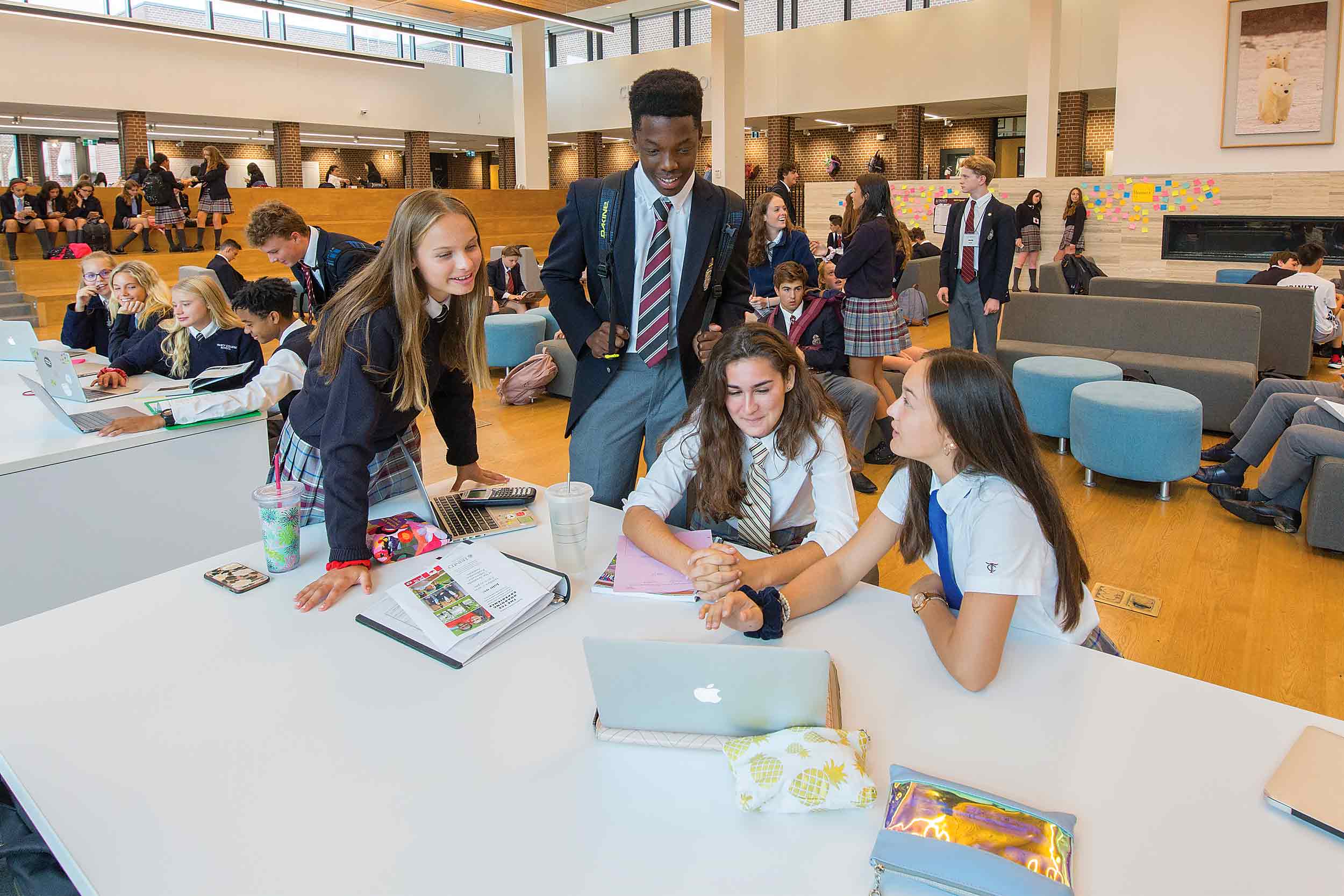 Students studying in common area.