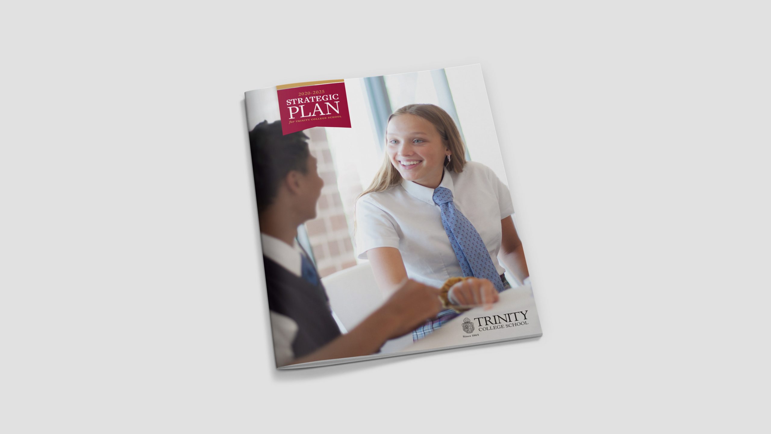 TCS Strategic Plan cover.